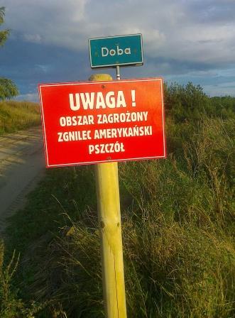 Zgnilec amerykański pszczół w powiecie giżyckim!!!