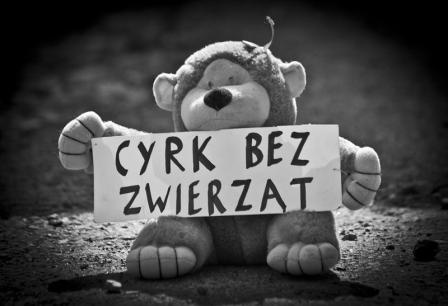 „Cyrk bez zwierząt”. Czy Giżycko przyłączy się do kampanii?(wideo)