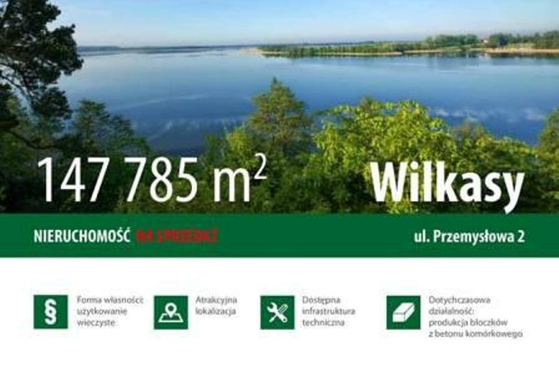 „Prefabet-Niegocin” na sprzedaż!