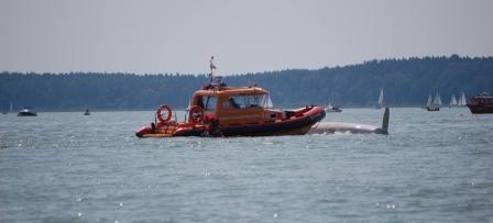 Pół miliona złotych dotacji dla MOPR