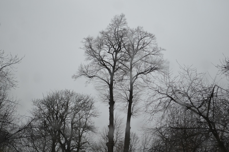 Ostrzeżenie przed bardzo silnym wiatrem!