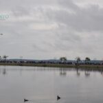 DSC_0010 (Kopiowanie)