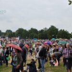 DSC_0041 (Kopiowanie)