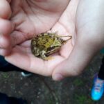 14429107_1861176554110794_549967675_n