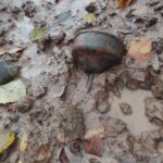 img_20161103_120928-min