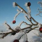 received_1334063666627068-min