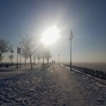 15934021_1204297659637183_1406683552_o