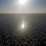 15935457_1204297522970530_852990243_o