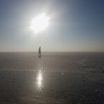 15942661_1204297692970513_249380359_o