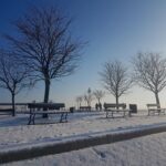 15967242_1204297559637193_1584463787_o