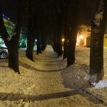 16105707_1178380408923821_7415077525512098778_n