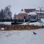 16129717_1214159791984303_2138407338_o