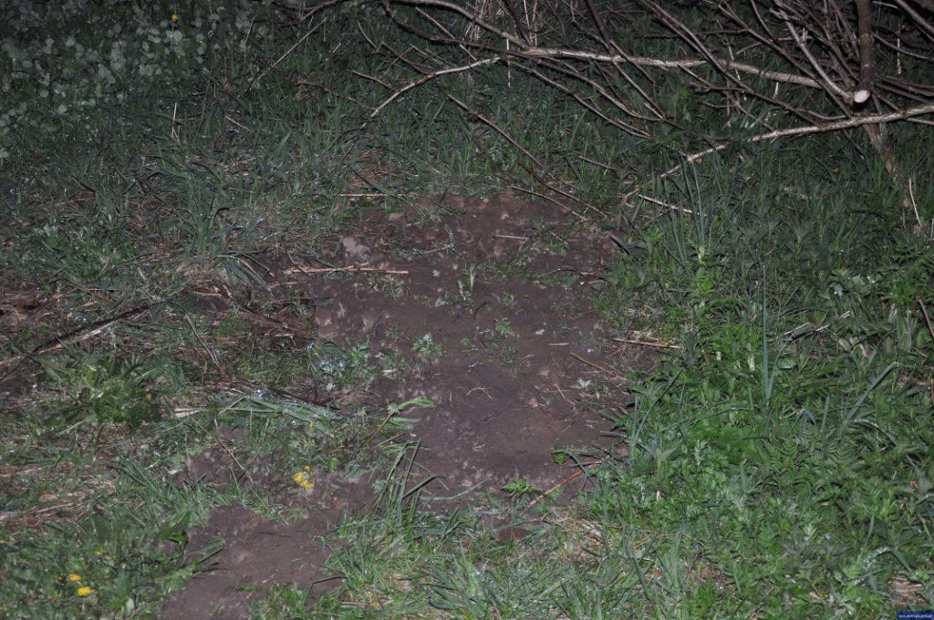 Za zabicie psa dał sąsiadowi 10 zł „na piwo”