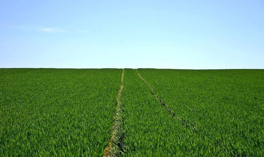 Składanie wniosków do końca maja