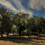 Plac Grunwaldzki Giżycko