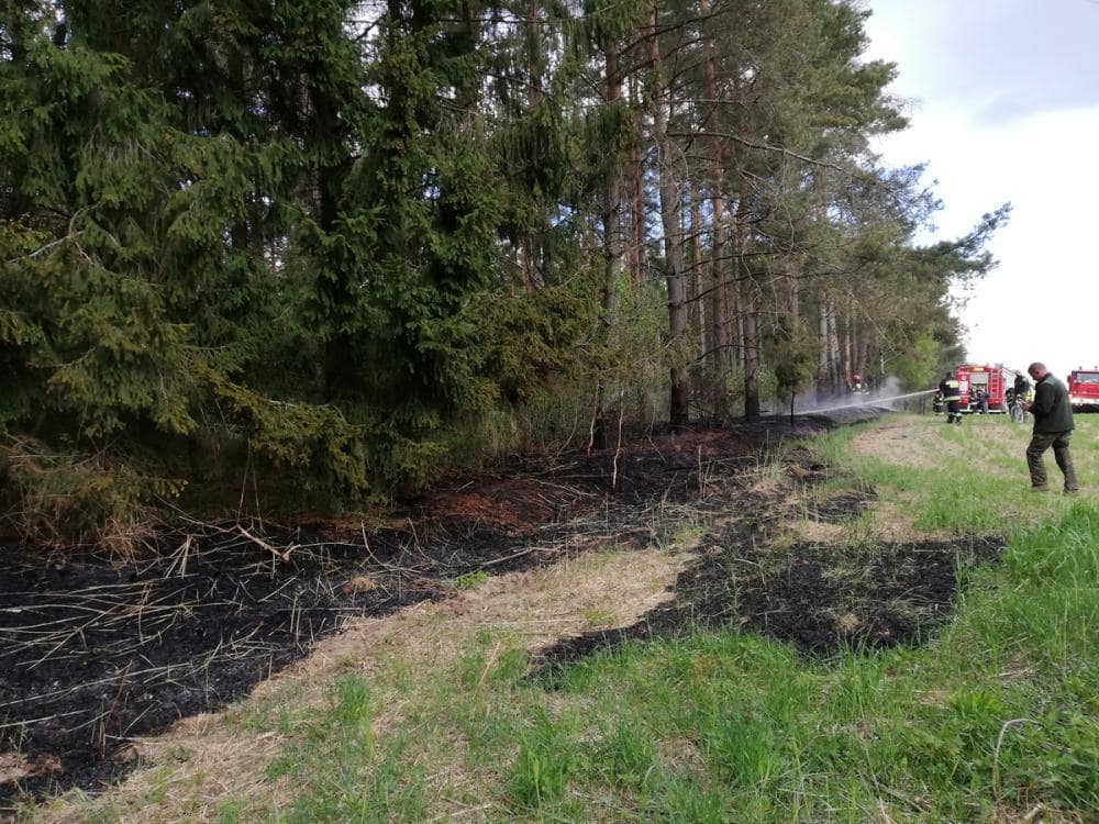 Wysokie zagrożenie pożarowe w lasach na terenie Nadleśnictwa Giżycko
