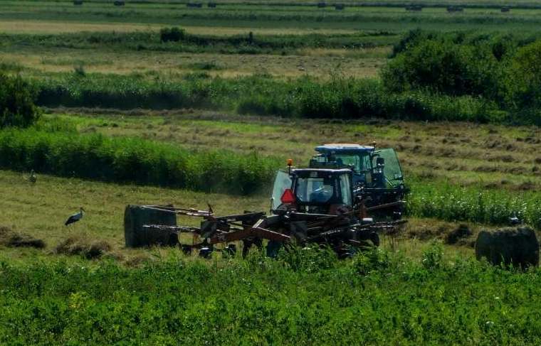 Prawie 15,5 tys. rachmistrzów pomoże w spisie rolnym