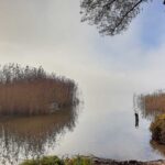 Jezioro Dejguny Bogacko (2)