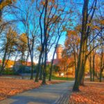 Giżycko park przy ulicy Warszwskiej (2)