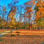 Giżycko park przy ulicy Warszwskiej (3)