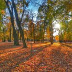 Giżycko park przy ulicy Warszwskiej (4)