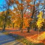 Giżycko park przy ulicy Warszwskiej (5)