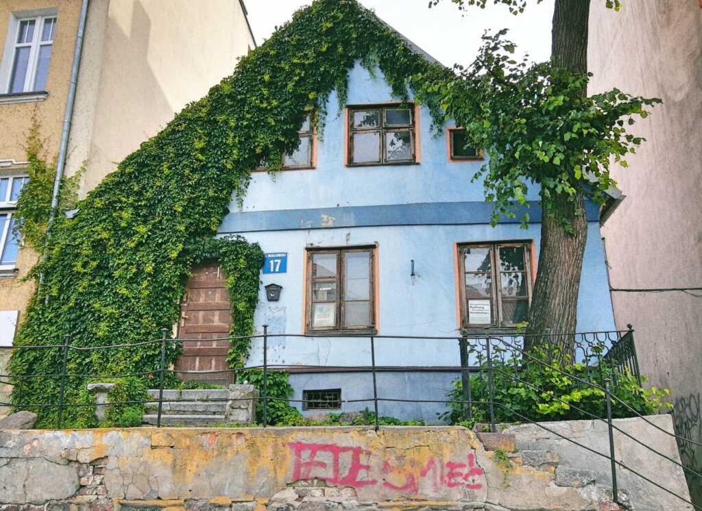 kamienica warszawska 17