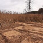 fot. Wody Polskie (3)