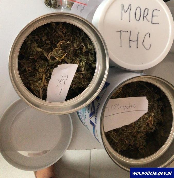 Odpowiedzą za uprawę i posiadanie marihuany