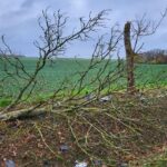 Śmiertelny wypadek na trasie Giżycko-Miłki. Nie żyje 47-letni kierowca alfa romeo (2)