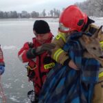 Sarna na zamarzniętym jeziorze Kisajno. Strażacy ruszyli na ratunek (1)