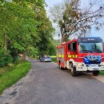 34-latek na hulajnodze rozbił się na drzewie (1)