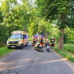 34-latek na hulajnodze rozbił się na drzewie (2)