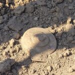 Kolejne niebezpieczne znaleziska z czasów II wojny światowej (1)