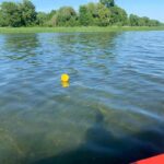 Niewybuch koło dzikiej plaży nad jeziorem Niegocin (1)
