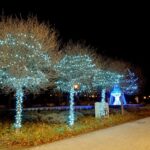 W Giżycku rozbłysły świąteczne iluminacje (11)