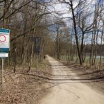 Uwaga, żaby na drodze (1)