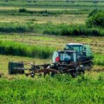 Borelioza i choroby odkleszczowe, czyli co każdy rolnik powinien o nich wiedzieć