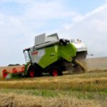 Borelioza i choroby odkleszczowe, czyli co każdy rolnik powinien o nich wiedzieć