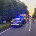 Dzikie zwierzęta na drogach, wypadków przybywa (2)