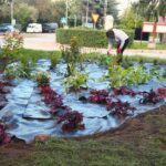 Rondo w Miłkach zyskało nowy wygląd (2)