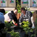 Rondo w Miłkach zyskało nowy wygląd (3)