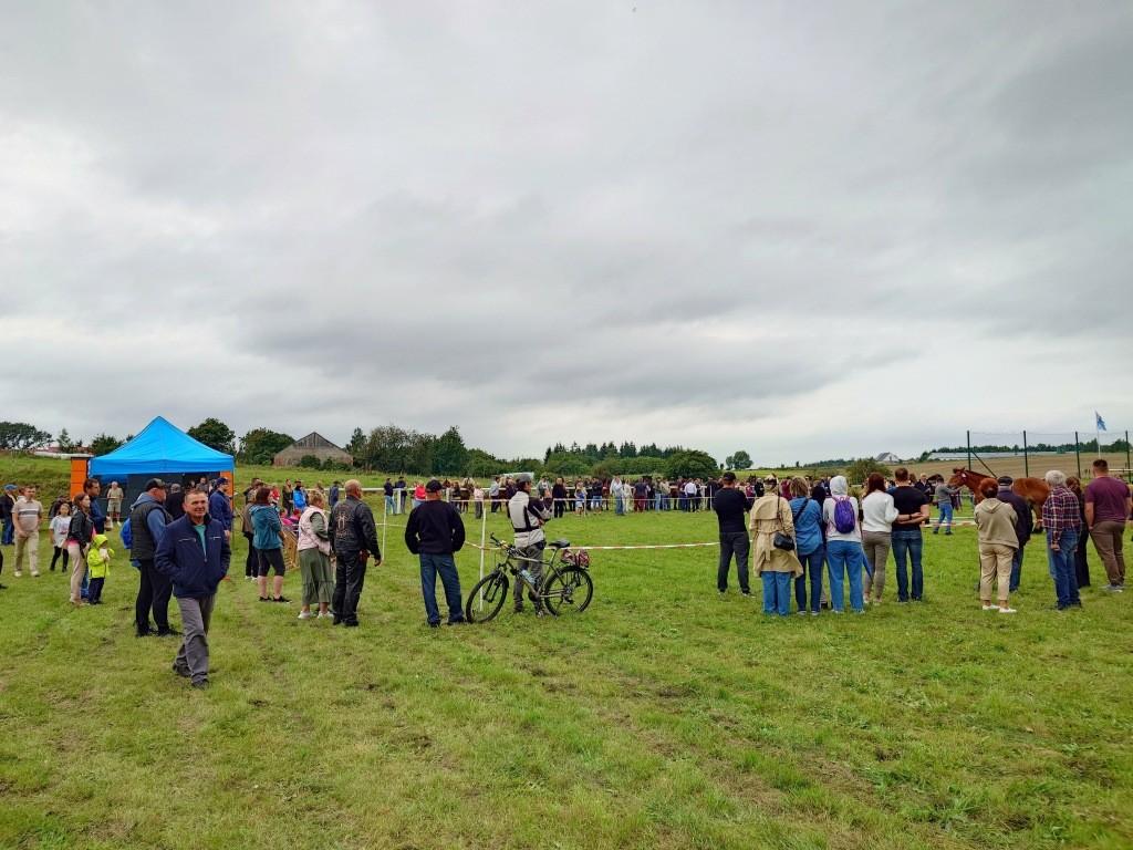 Sulimy. Piękne źrebięta na wybiegu pod czujnym okiem jurorów [ZDJĘCIA]