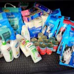 Giżycki kociętnik potrzebuje wsparcia (1)