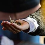 Mazurski Piknik Ornitologiczny z rekordową frekwencją i wyjątkową atmosferą (5)