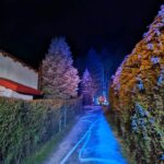 Pożar domku letniskowego w Gutach (3)