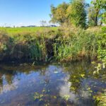 Rusza modernizacja Kanału Niegocin – Grajewko. Inwestycja za ponad 9 milionów złotych (1)