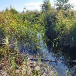 Rusza modernizacja Kanału Niegocin – Grajewko. Inwestycja za ponad 9 milionów złotych (3)