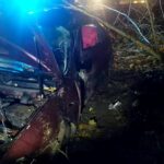 Seat dachował na trasie między Ogonkami a Pozezdrzem (2)