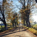 Utrudnienia w ruchu na drodze wojewódzkiej Giżycko – Kętrzyn. Zmiany od 12 listopada (4)